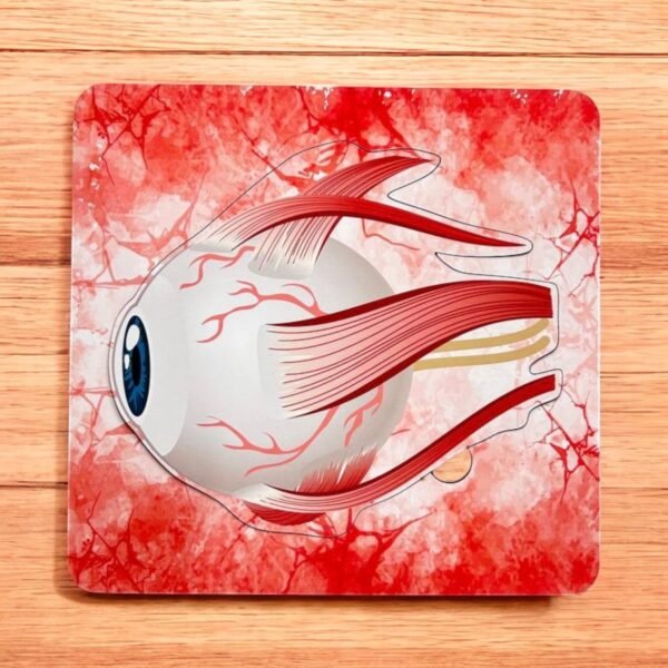 Human Body Anatomy Combo Kit - Image 2