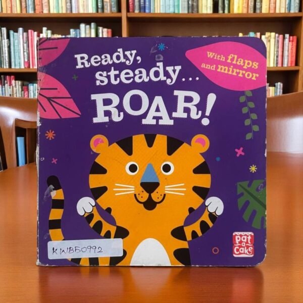 Ready, Steady…Roar!_Flap And Mirror_Used_Pat A Cake _KWB50992