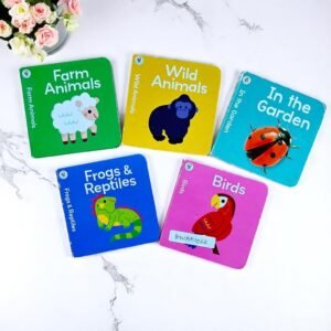 Pocket Friendly_Hinkler Building Blocks_Set Of 5 Books_Hinkler _KWB51062