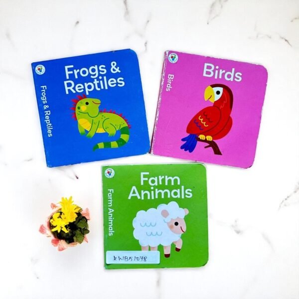 Pocket Friendly_Hinkler Building Blocks_Set Of 3 Books_Hinkler _KWB51078