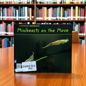 Minibeasts On The Move_Comparing Minibeasts_Charlotte Guillain_KWB52960