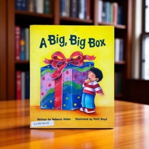 A Big, Big Box_Rebecca Haber_KWB53458
