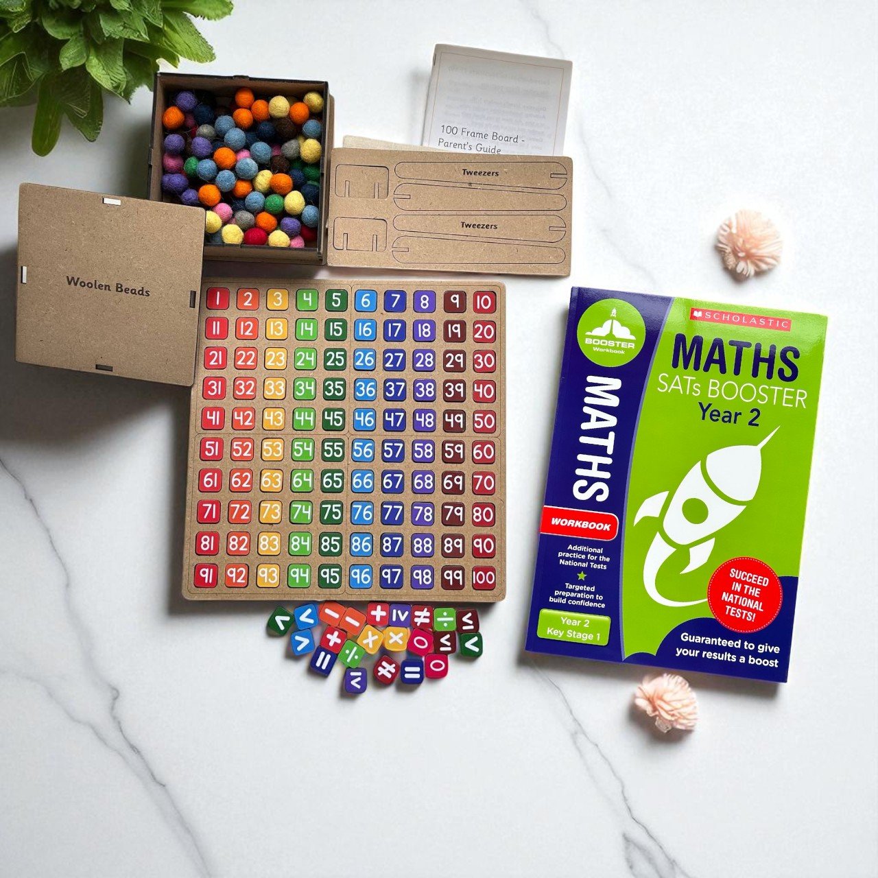Maths SATs Booster Year2_Educational Workbook &100 Frame with woolen beads