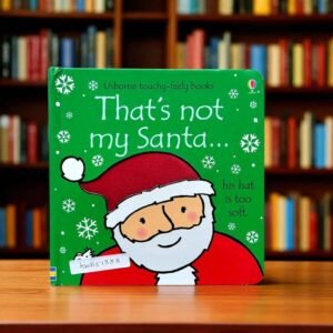 Usborne_That's Not My Santa_Touch and Feel _Usborne _KWB51333