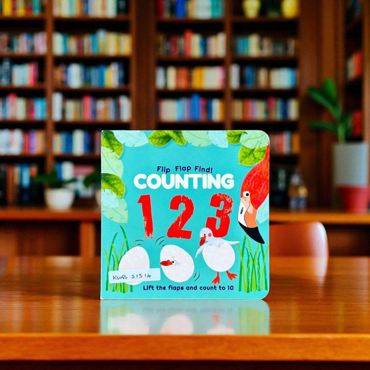 Counting 123_Flpa Book_DK_KWB51514