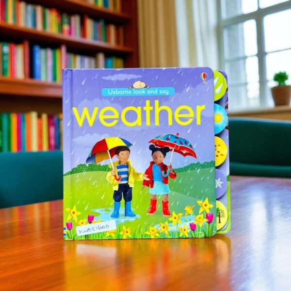 Usborne Look and Say Weather _Tap Book _Usborne _KWB51600