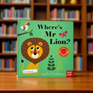 Where's Mr.Lion?_Flap And Mirror_Nosy Crow_KWB51645