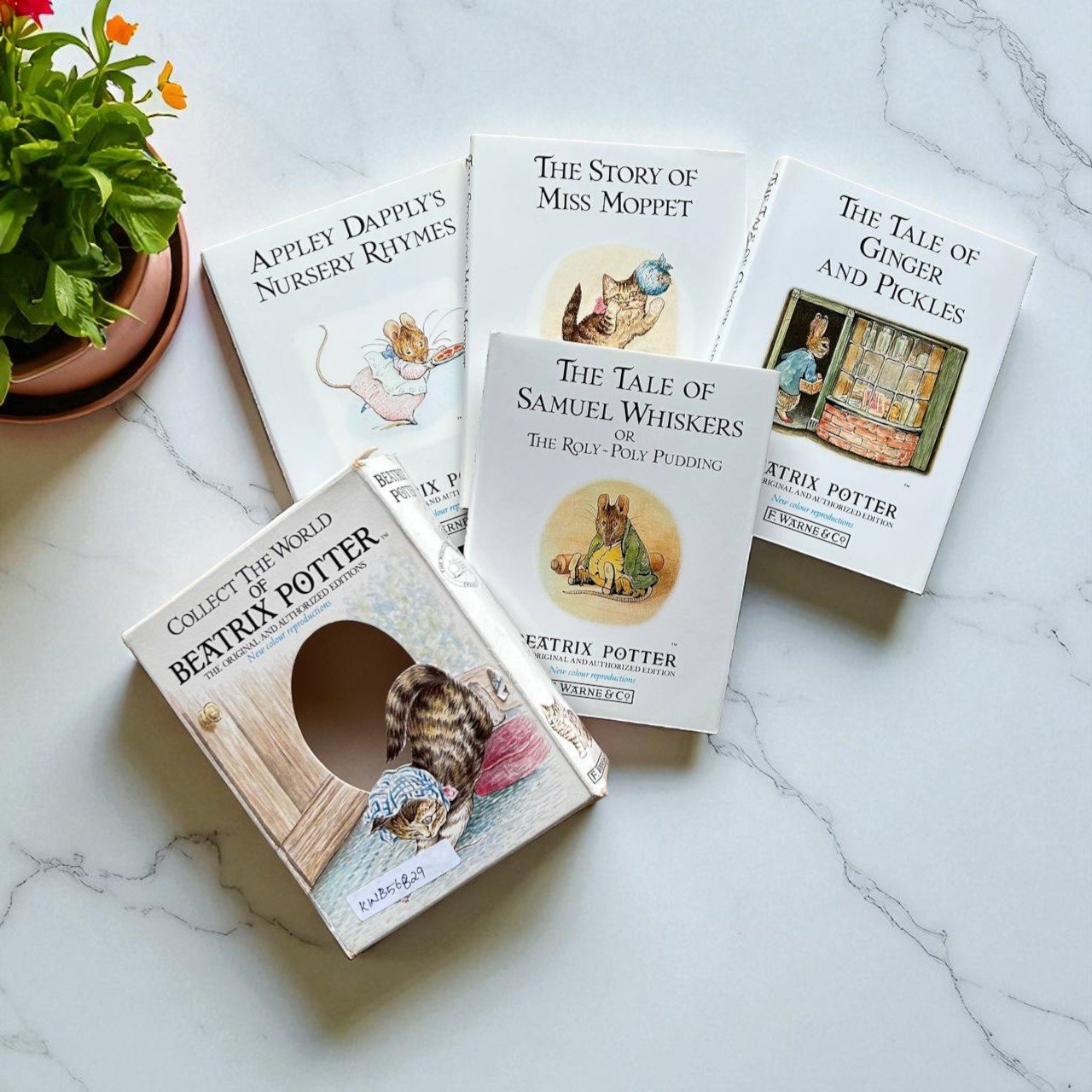 Collect The World Of Beatrix Potter_Set Of 4 Books_Box Set_Beatrix Potter_KWB56829