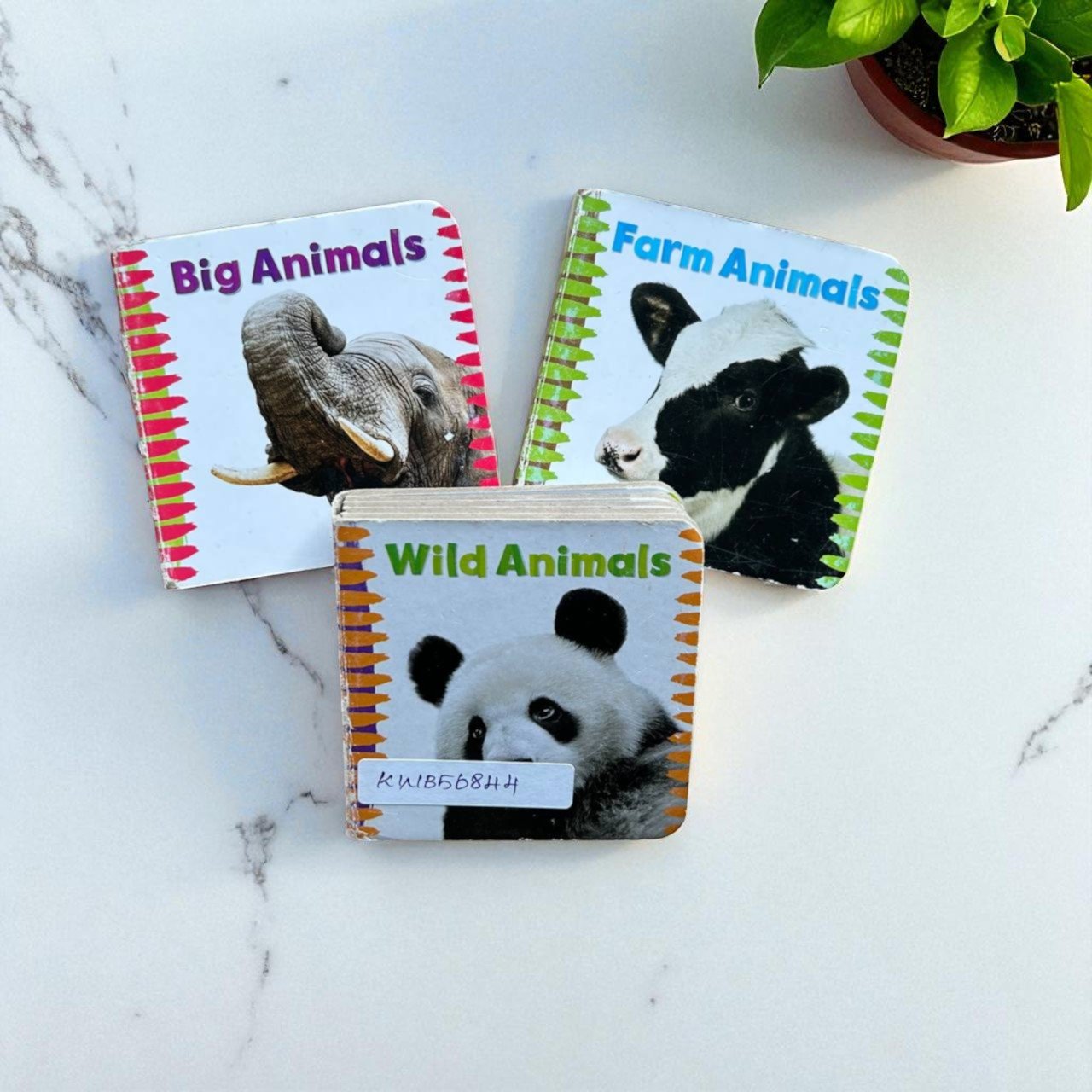 Pocket Friendly_Sandcastle Book_Set Of 3 Books__KWB56844