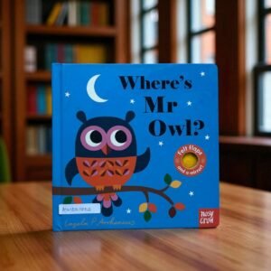 Where's Mr Owl?_ With Felt Flaps And Mirror_Nosy Crow_KWB51757