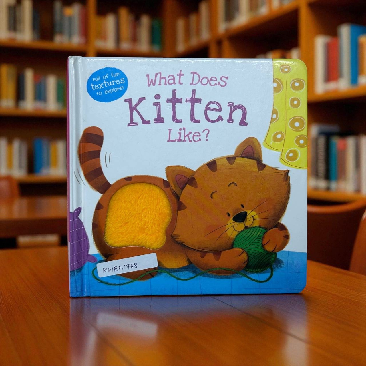 What Does Kitten Like?_Touch And Feel Book_Autumn_KWB51768