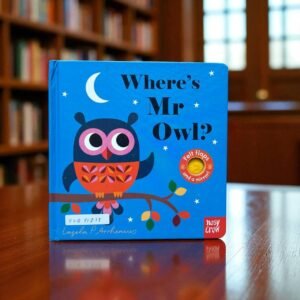 Where's Mr Owl?_ With Felt Flaps And Mirror_Nosy Crow_KWB51832