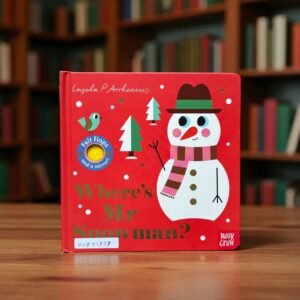 Where's Mr Snowman !_Felt Flap And a Mirror !_Nosy Crow_KWB51833