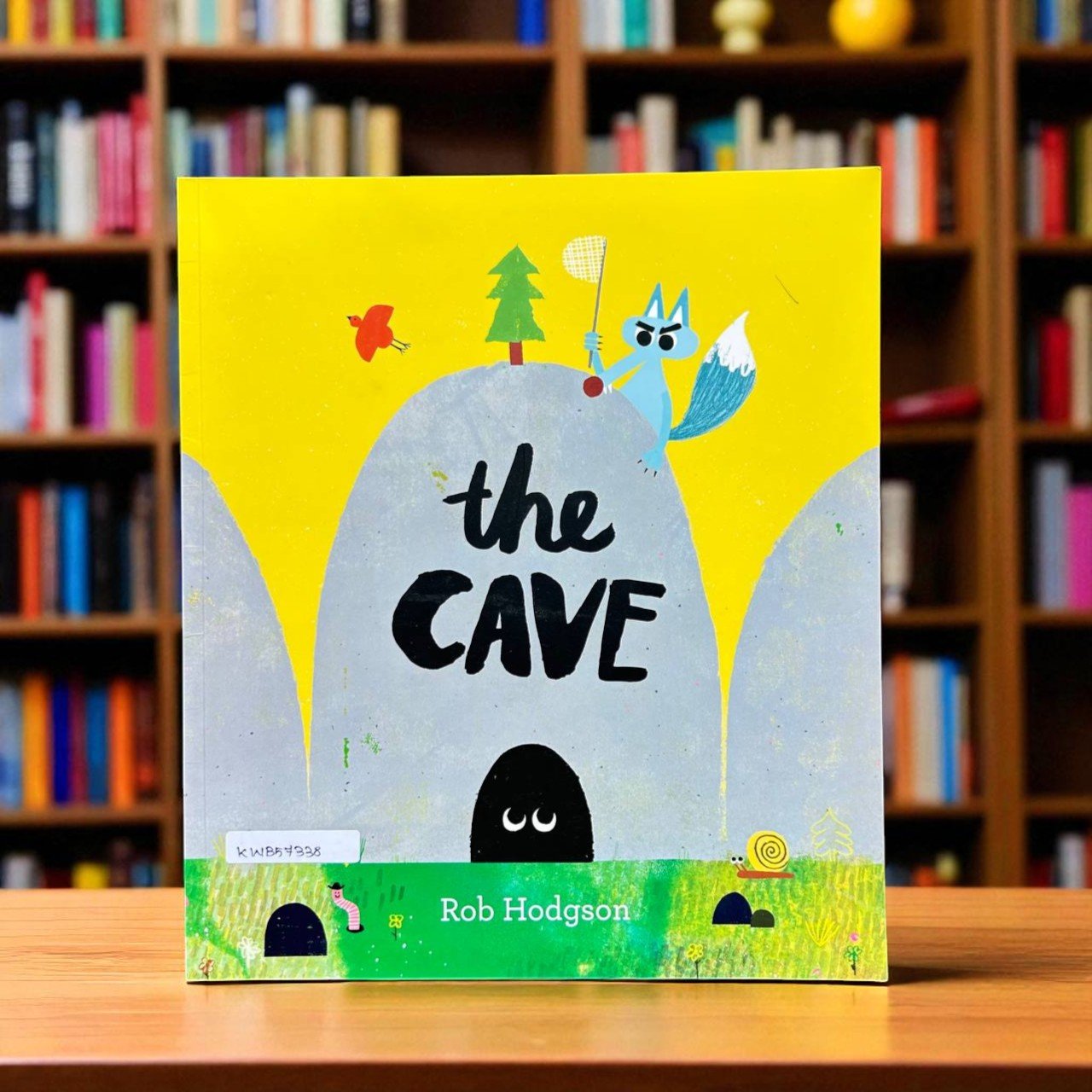 The Cave_Frances Lincoln_Rob Hodgson_KWB57338