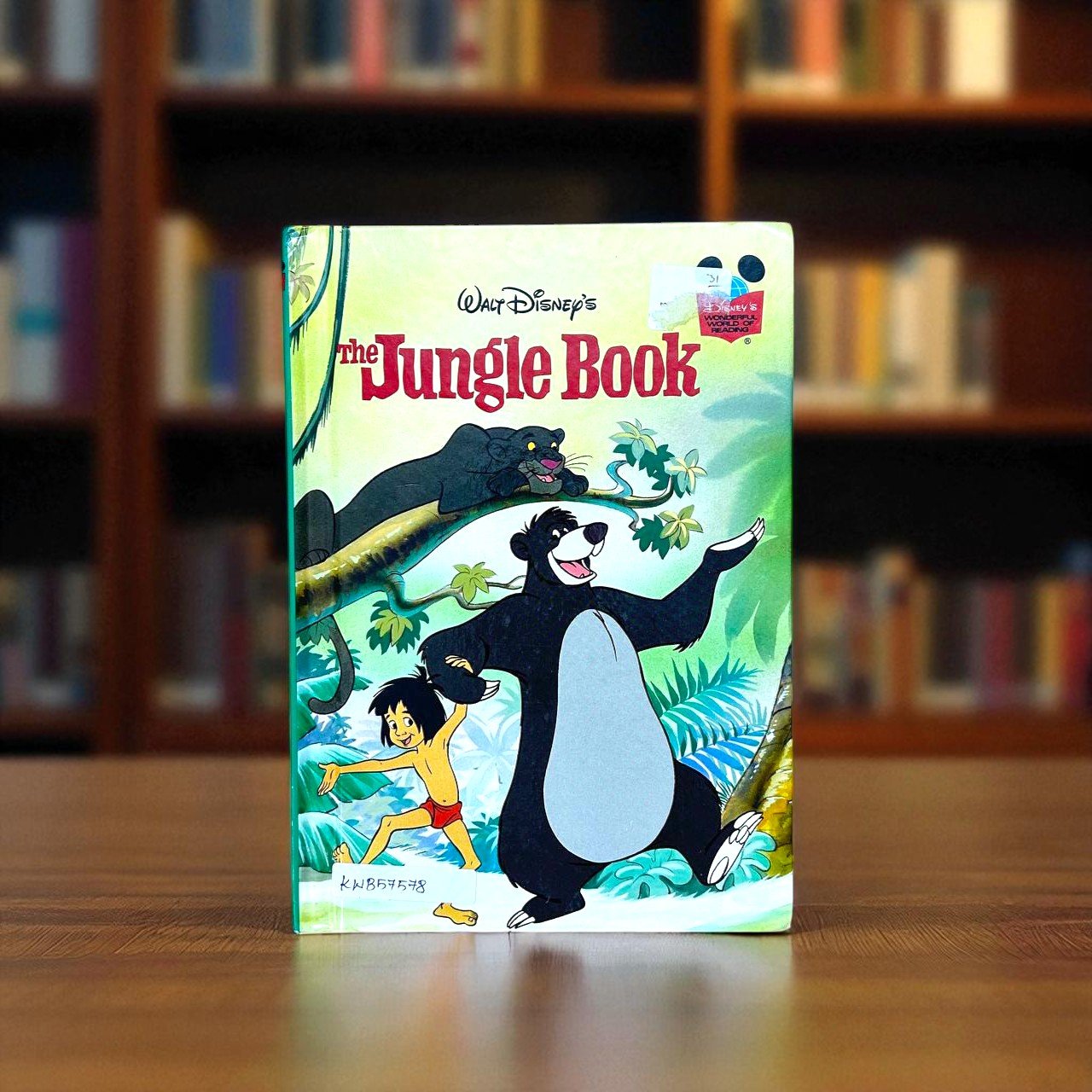 The Jungle Book_Wonderful World Of Reading_Disney_KWB57578
