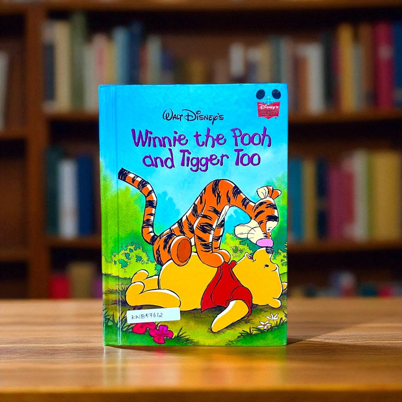 Winnie The Pooh And Tigger Too_Wonderful World Of Reading_Used_Disney_KWB57612