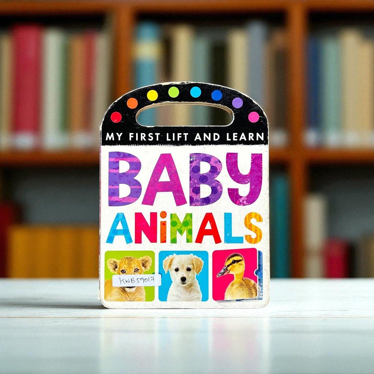 Baby Animals_Flap Book_Taped_Little Tiger Kids_KWB59017