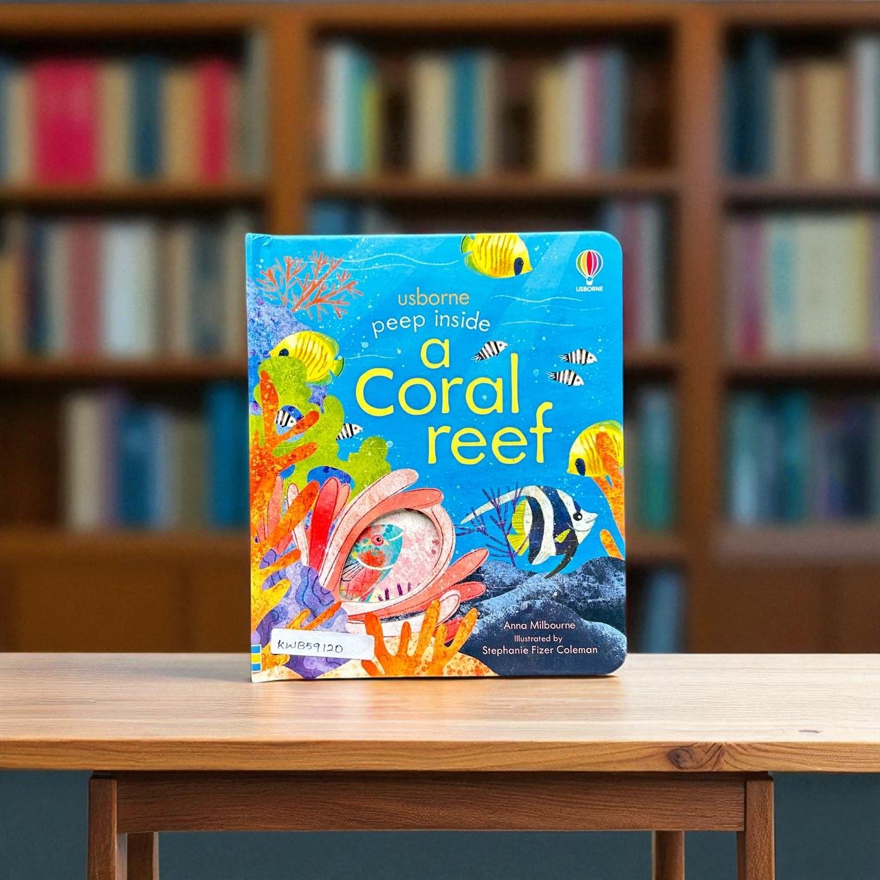 Peep Inside A Coral Reef_Peep Through With Flaps_Usborne_KWB59120