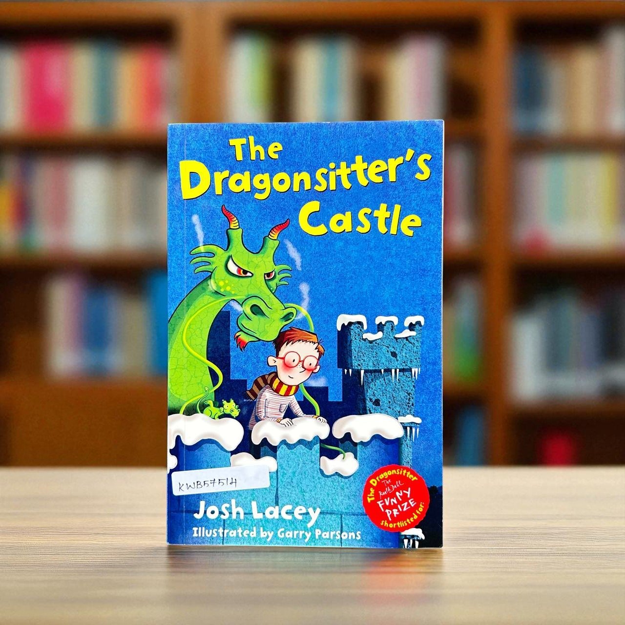 The Dragonsitter's Castle_Josh Lacey_KWB57514