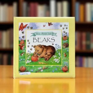 Bears_Three Minute Tales_BTS_Parragon_KWB58294