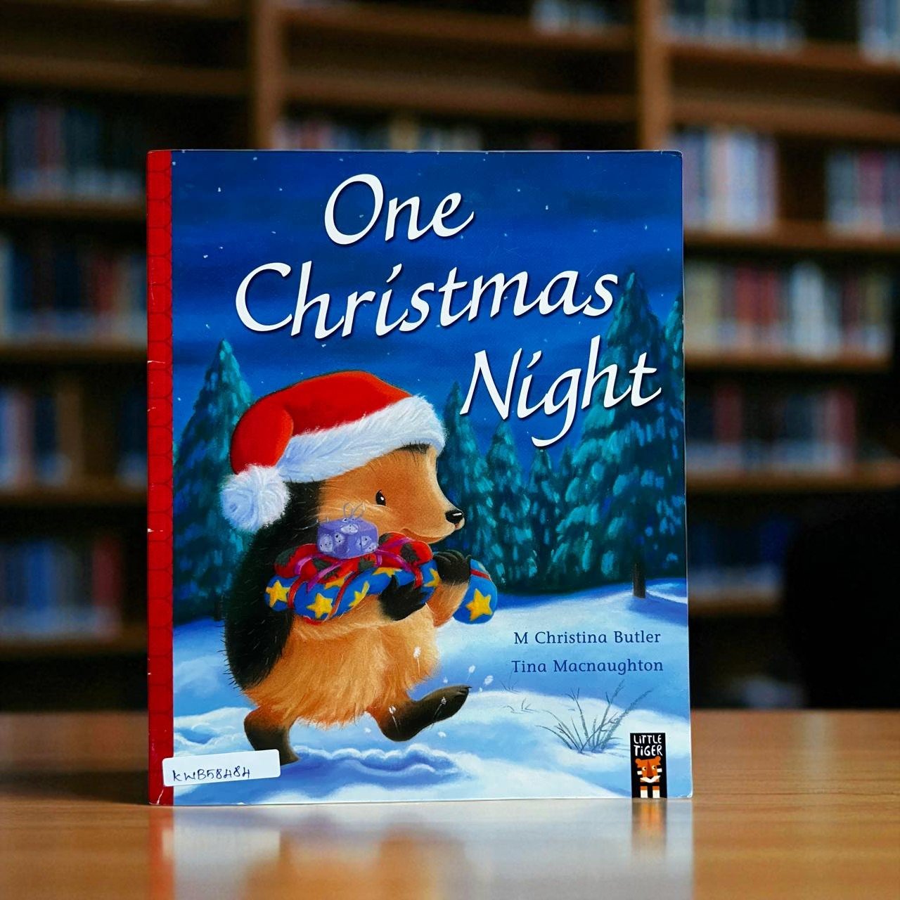 One Christmas Night_Little Tiger Press_M Christina Butler_RDS_KWB58484