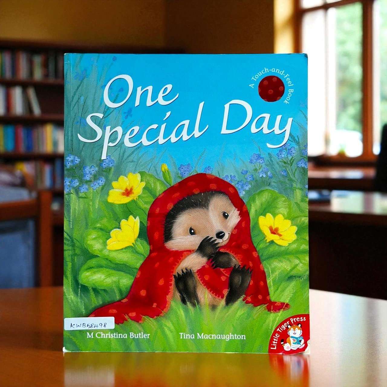 One Special Day_Touch And Feel Book_Little Tiger Press_M Christina Butler_RDS_KWB58498