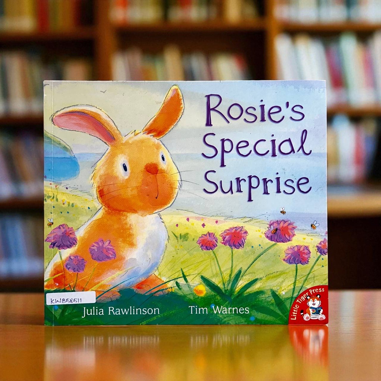 Rosie's Special Surprise_Little Tiger Press_Julia Rawlinson_RDS_KWB58511