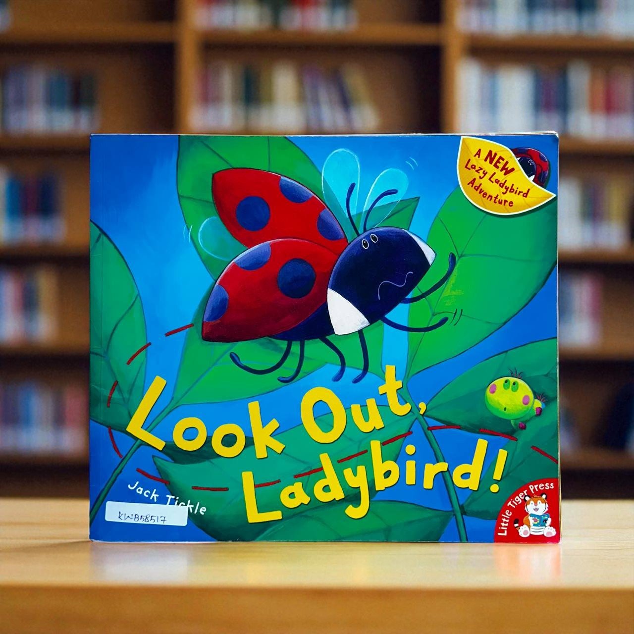 Look Out, Ladybird!_Taped_Little Tiger Press_Jack Tickl_RDS_KWB58517