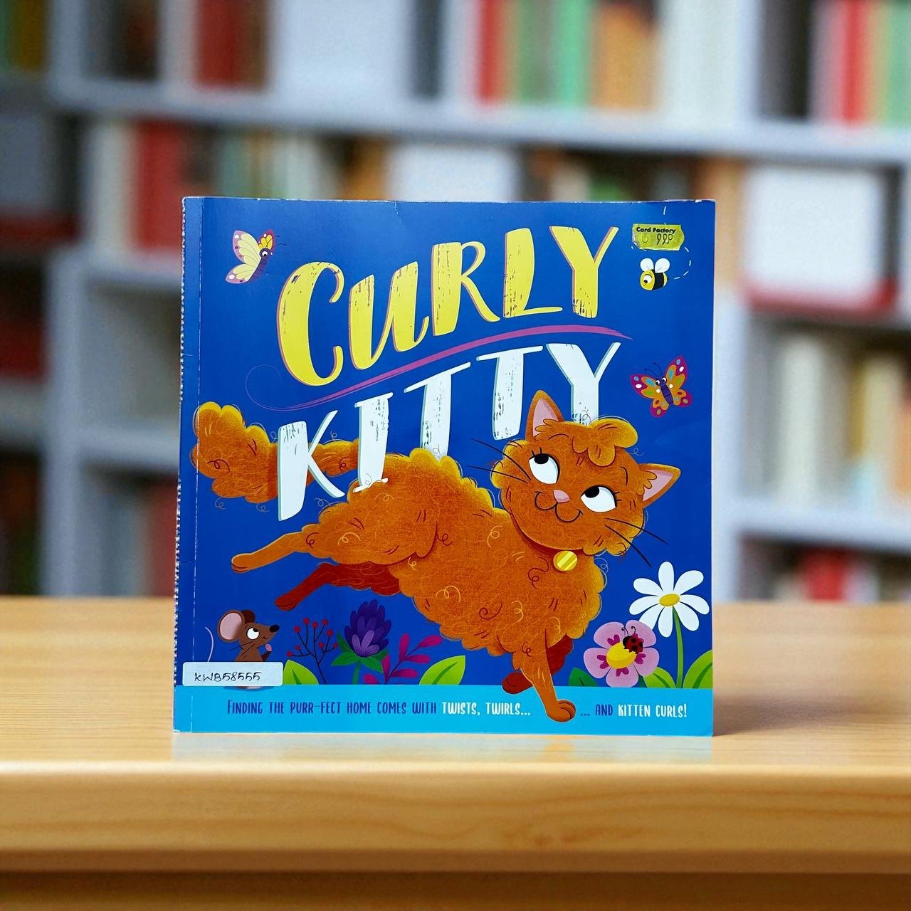 Curly Kitty_Igloo Books_Stephanie Moss_RDS_KWB58555