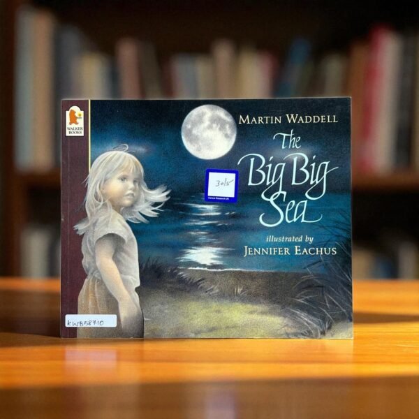 The Big Big Sea_Walker_Martin Waddell_RDS_KWB58710