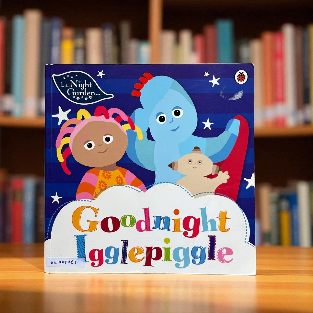 Goodnight Igglepiggle_In The Night Garden_Ladybird_Rebecca Gerlings_RDS_KWB58789