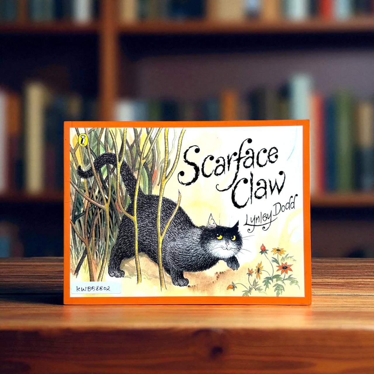 Scareface Claw_Puffin_Lynley Dodd_RDS_KWB58802