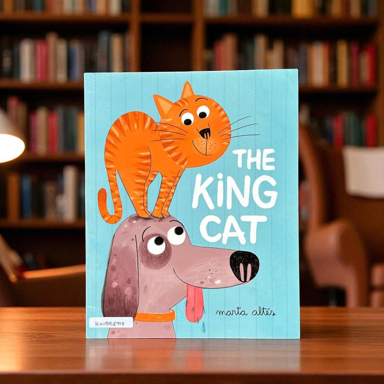 The King Cat_Macmillan_Marta Altes_RDS_KWB58917