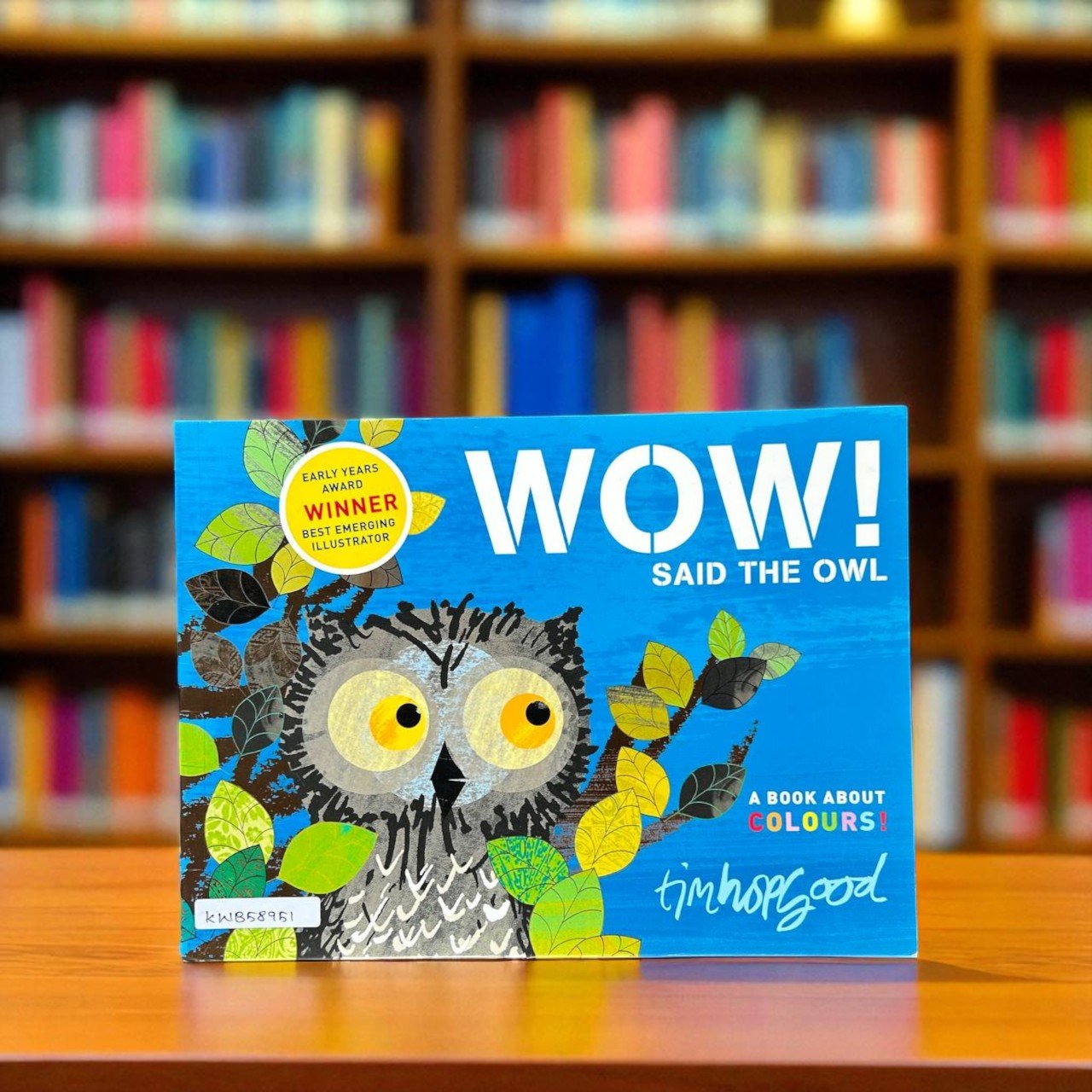 Wow! Said The Owl_Macmillan_Tim Hopgood_RDS_KWB58951