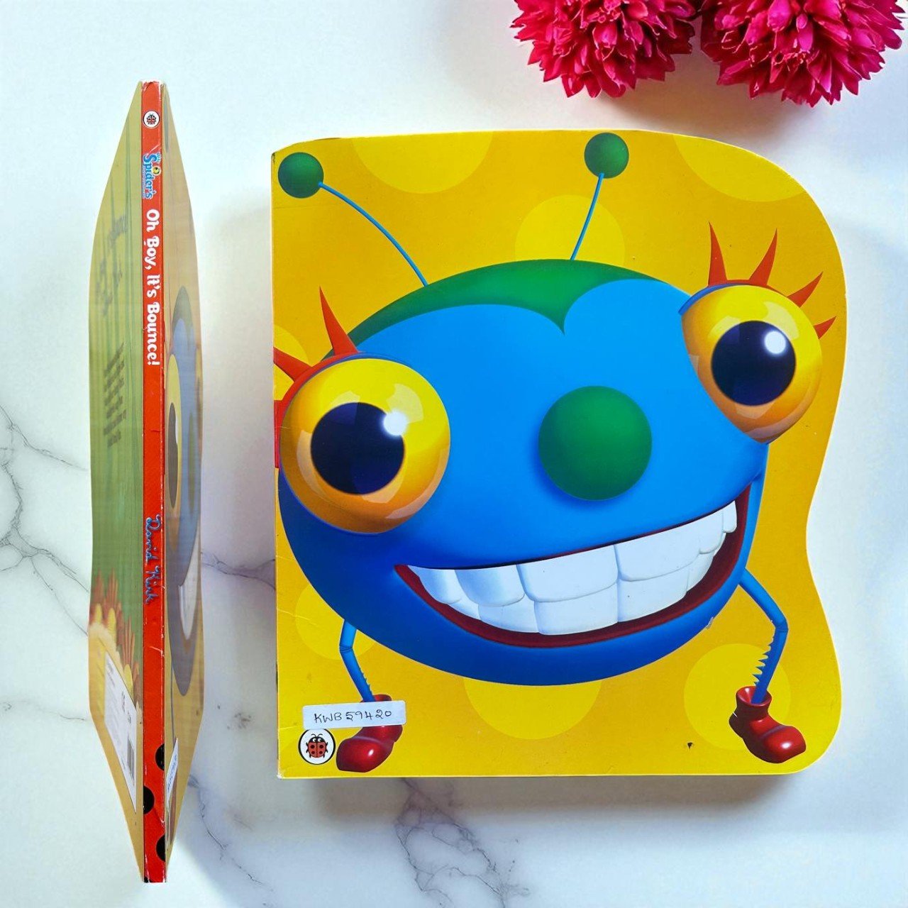 Oh Boy,It's Bounce!_Miss Spider_David Kirk_KWB59420