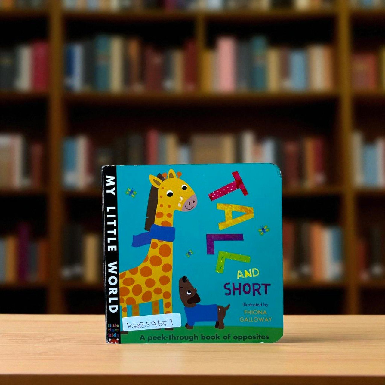 Tall And Short_My Little World_Little Tiger Kids_KWB59657