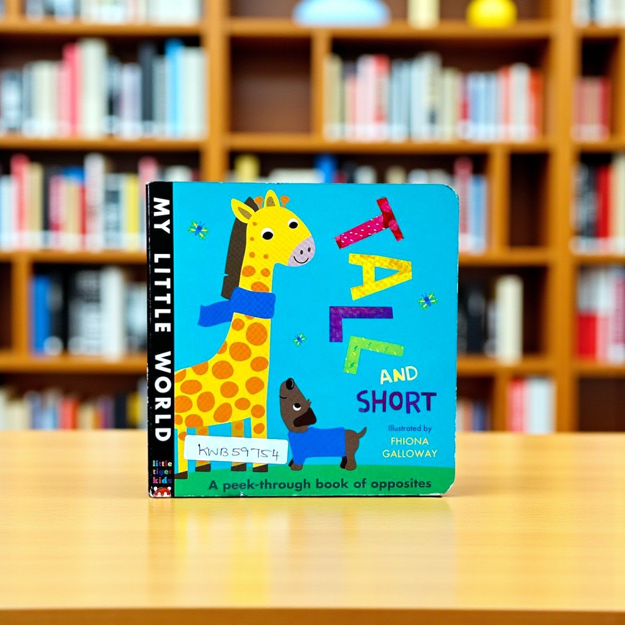 Tall And Short_My Little World_Little Tiger Kids_KWB59754