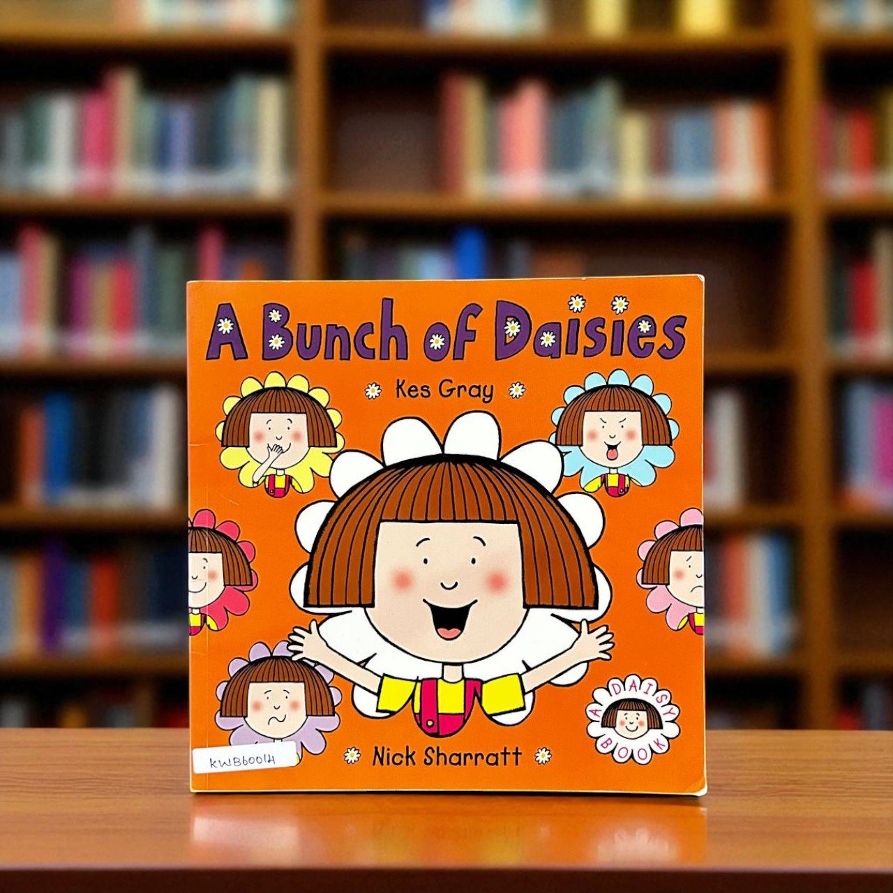 A Bunch Of Daisies_Red Fox_Kes Gray_RDM_KWB60014