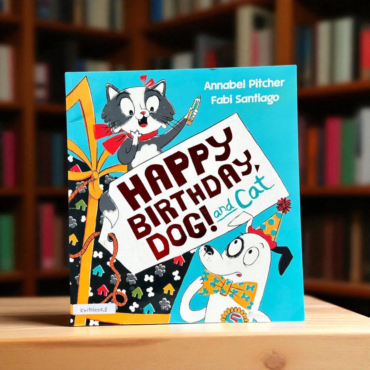 Happy Birthday, Dog! And Cat_Hodder Children_Annabel Pitcher_RDS_KWB60058