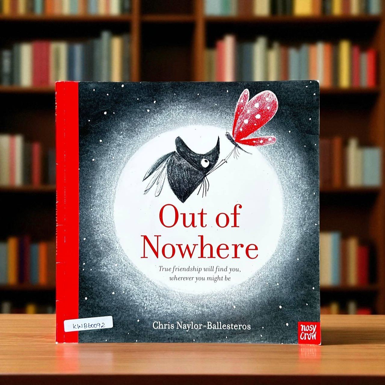 Out Of Nowhere_Nosy Crow_Chris Naylor Ballesteros_RDS_KWB60092