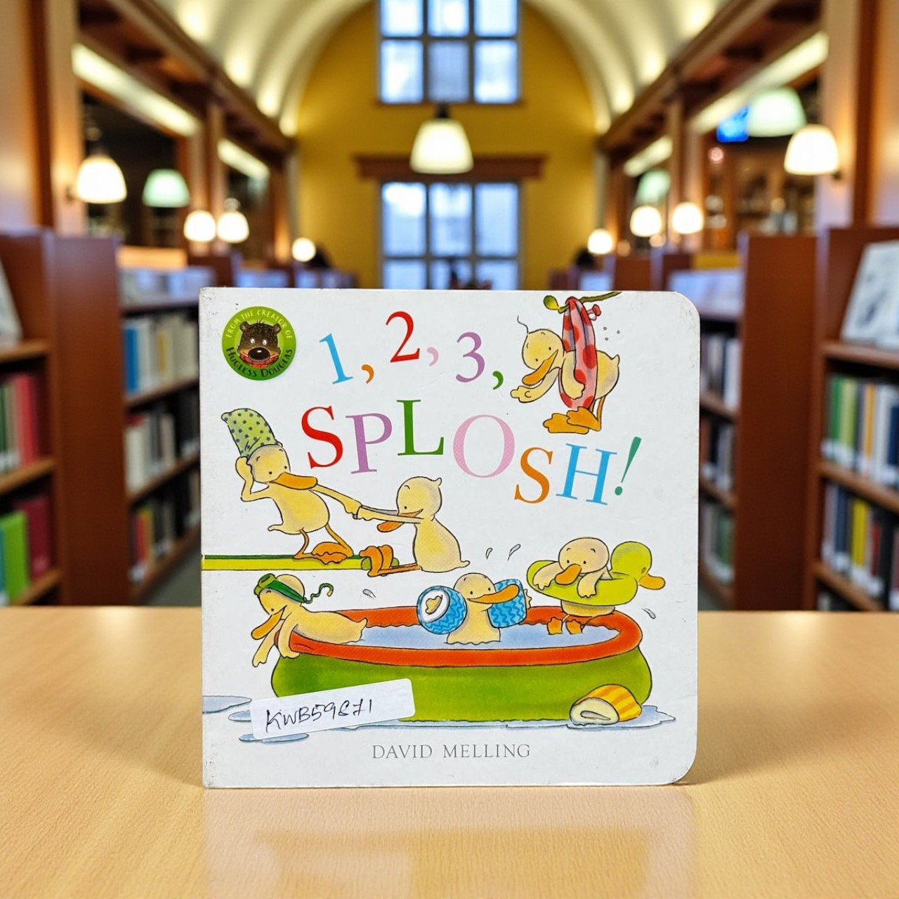 1,2,3, Splosh!_David Melling_KWB59871