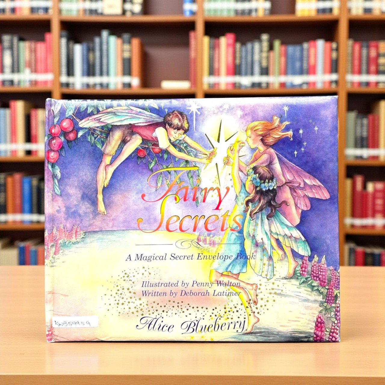 Fairy Secrets A Magical Secret Envelope Book_Penny Walton_KWB59959