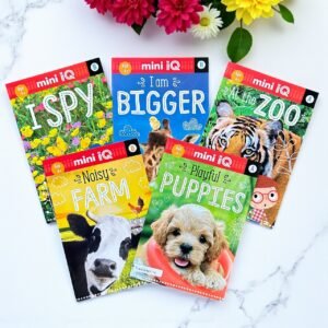 Mini Iq_Set Of 5 Books_Make Believe Ideas_KWB60974