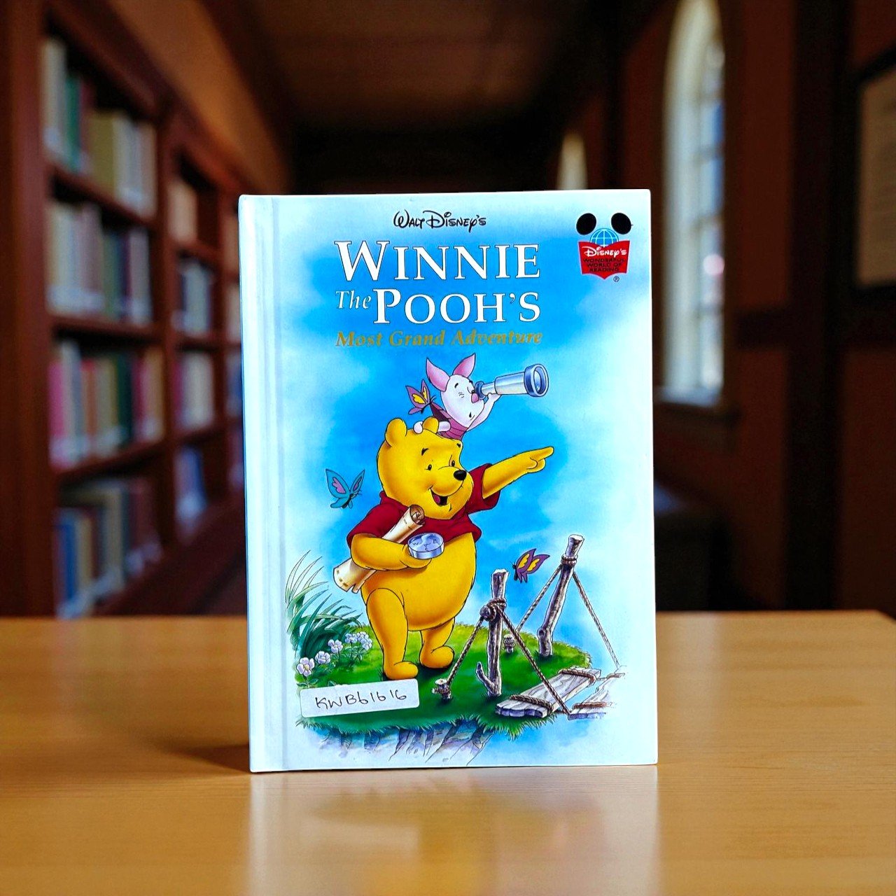 Winnie The Pooh's Most Grand Adventure_Wonderful World Of Reading_Disney_KWB61616