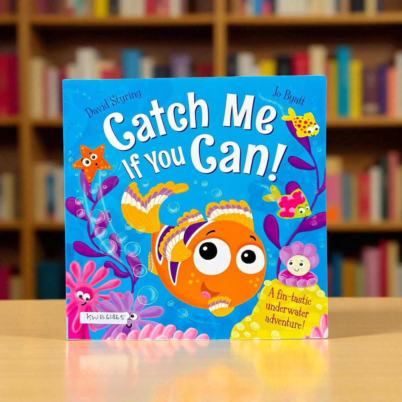 Catch Me If You Can!_Igloo Book_David Styring_RDS_KWB61865