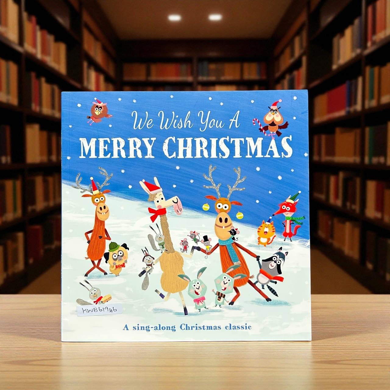 We Wish You A Merry Christmas_Imagine That_Kitty Taylor_RDS_KWB61946