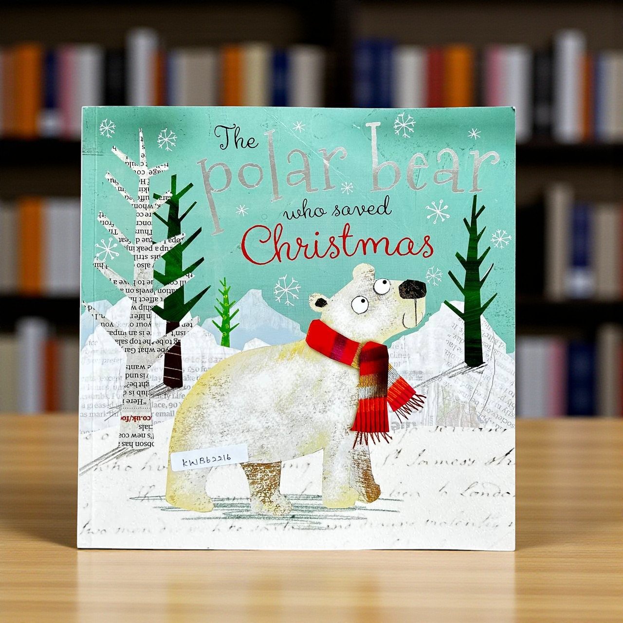 The Polar Bear Who Saved Christmas_Make Believe Ideas_Clare Fennell_RDS_KWB62216
