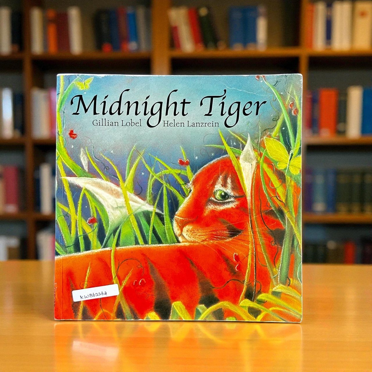 Midnight Tiger_Oxford_Used_Gillian Lobel_RDS_KWB62264