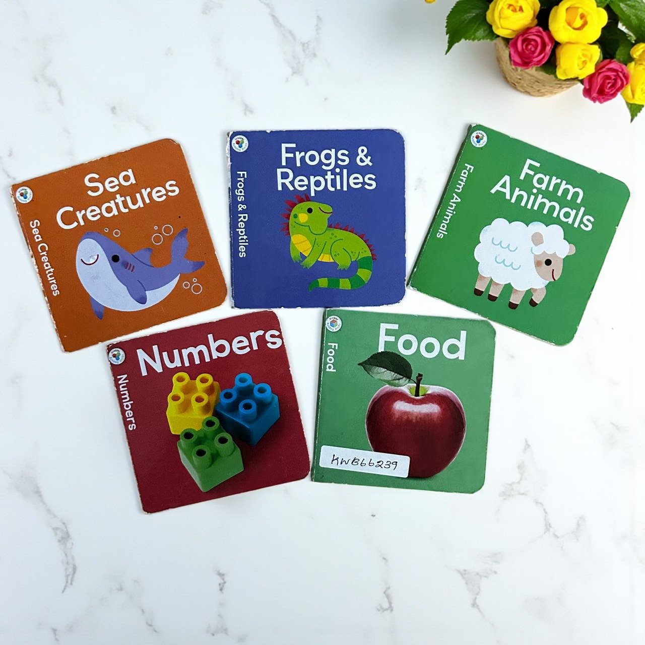 Pocket Friendly_Hinkler Building Blocks_Set Of 5 Books_Hinkler_KWB66239