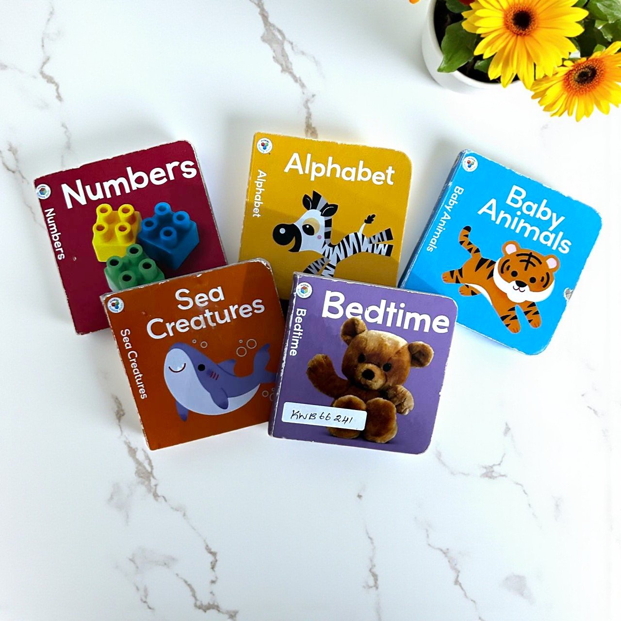 Pocket Friendly_Hinkler Building Blocks_Set Of 5 Books_Hinkler_KWB66241